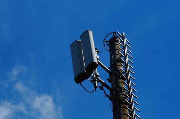 How Can Small Businesses Leverage Digital Tools for Efficient Project Management?